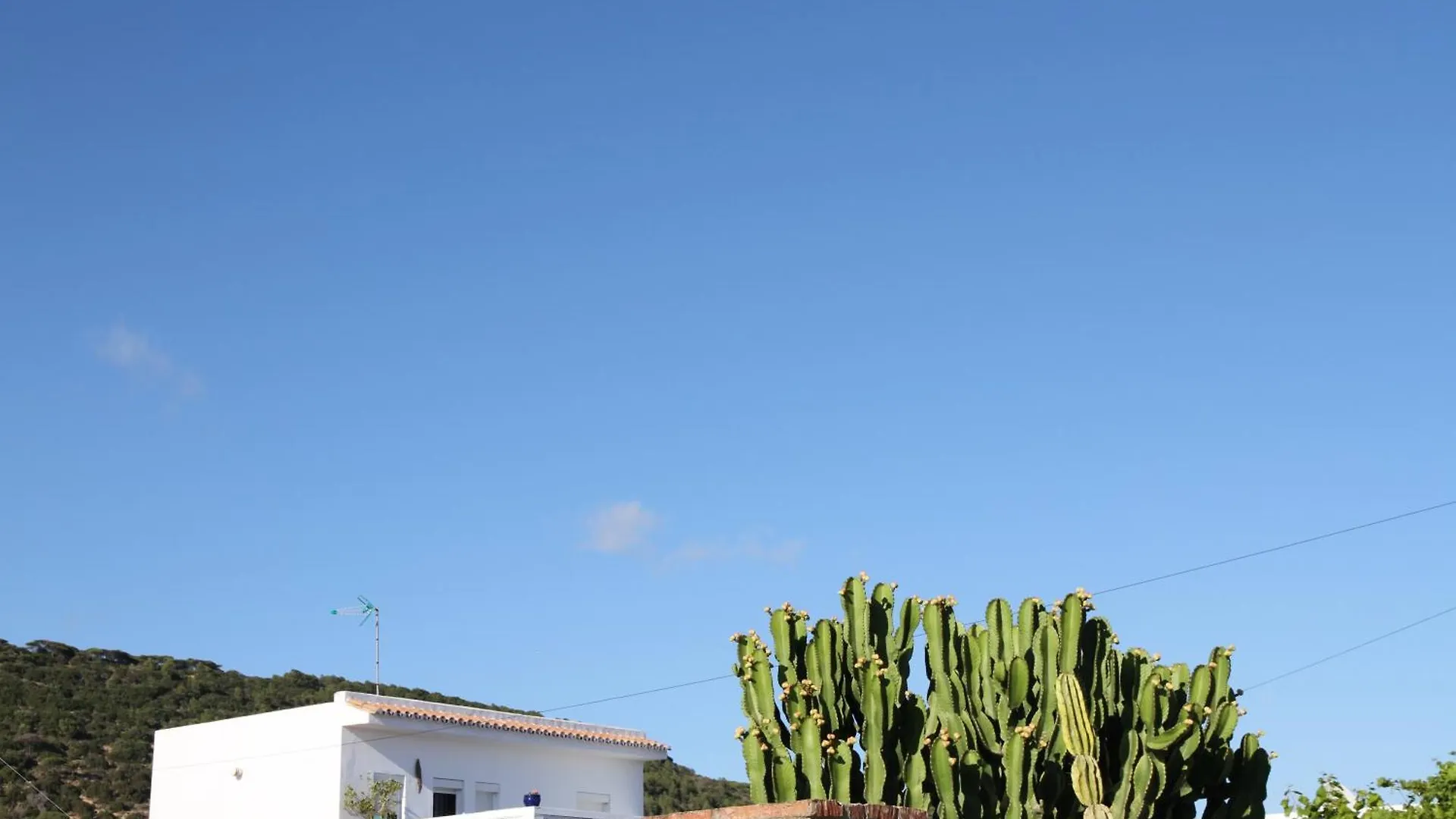 Ocean View Apartment Los Canos De Meca